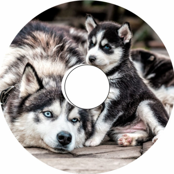 Speichenschutz Nr. 3076 - Huskies