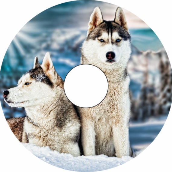 Speichenschutz Nr. 3080 - Huskies im Schnee